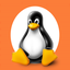online_linux_xlinux_console_terminal